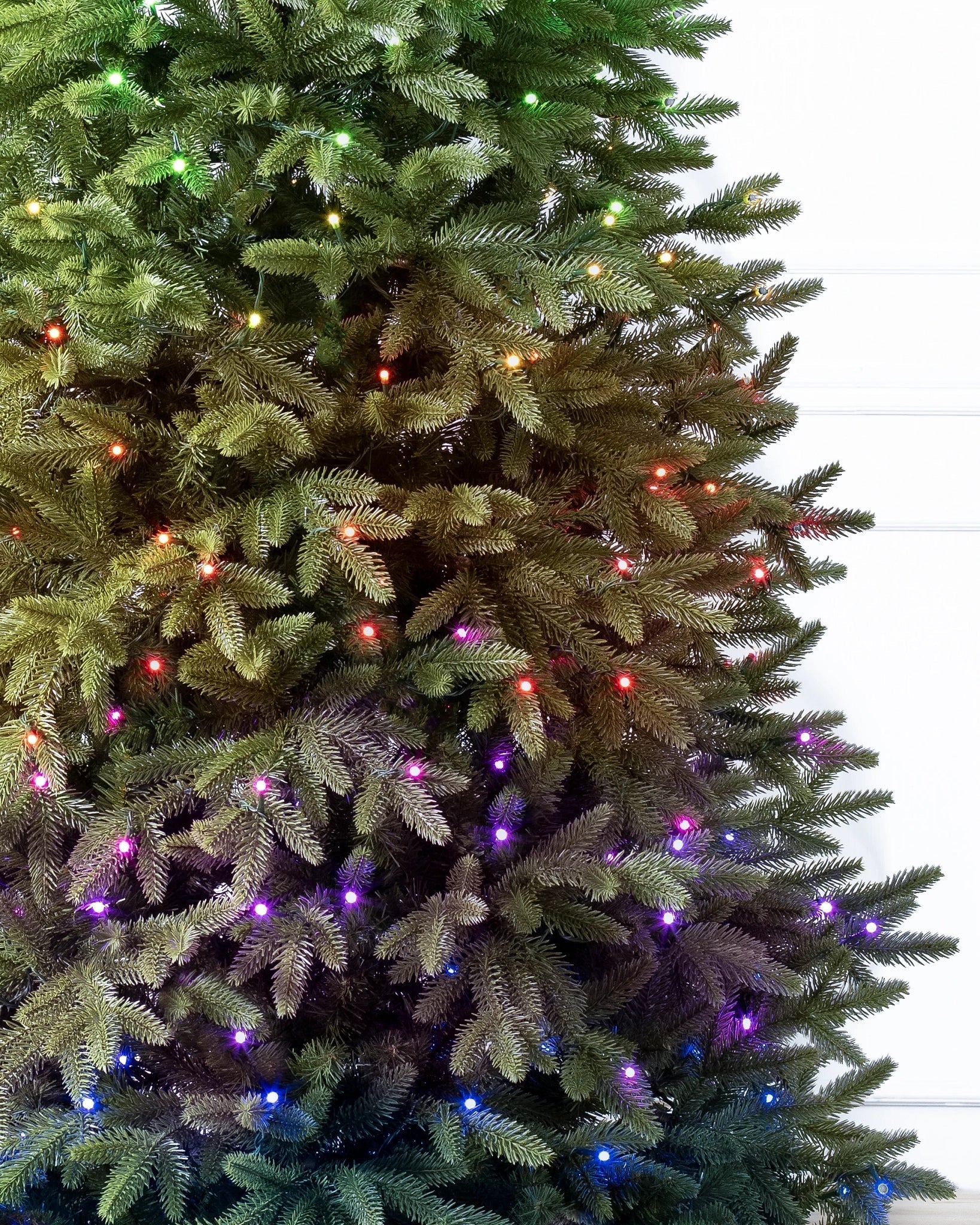 Árvore de Natal - Saratoga Spruce + 700 LEDS