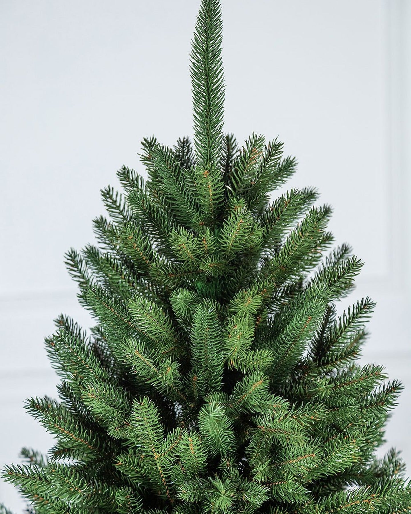 Árvore de Natal Tradicional Simples